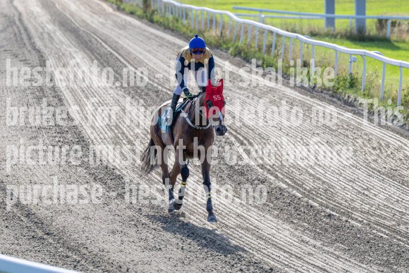 20250917-151441-DSC_5759