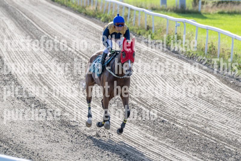 20250917-151441-DSC_5766