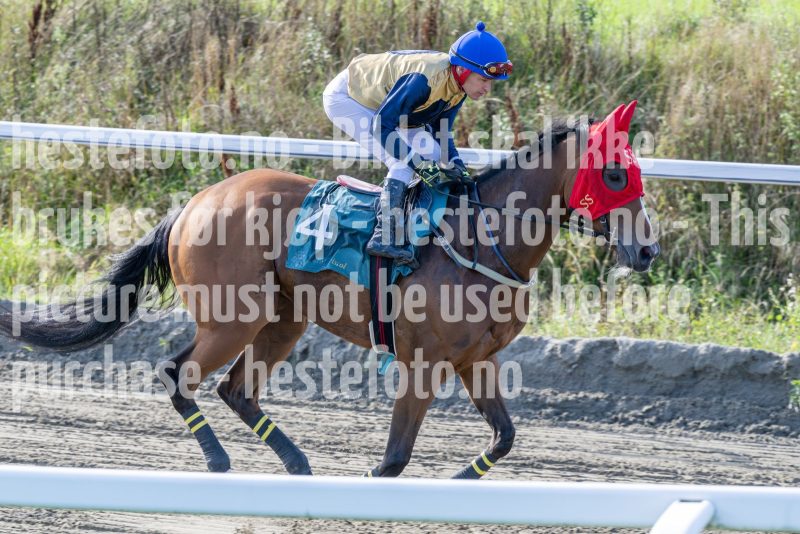 20250917-151444-DSC_5804