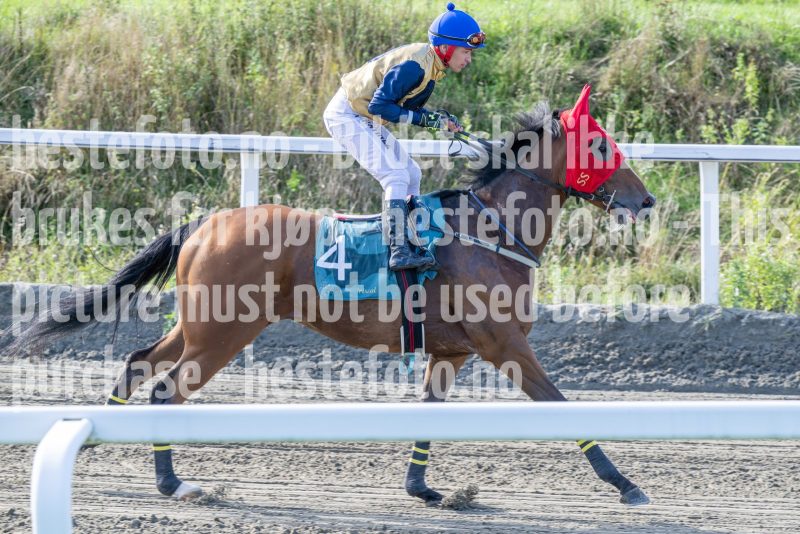 20250917-151445-DSC_5810