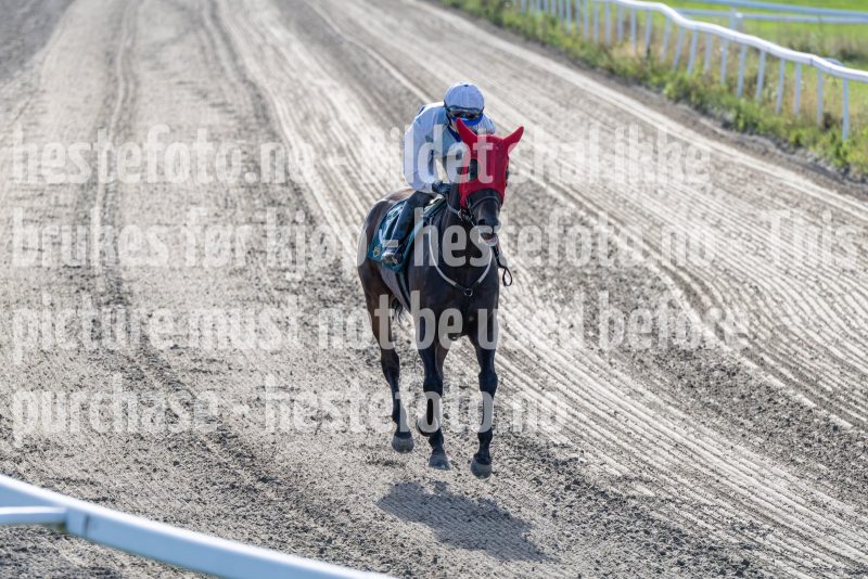 20250917-151447-DSC_5822