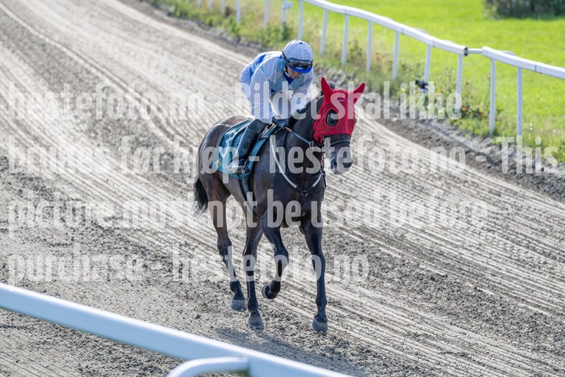 20250917-151448-DSC_5829