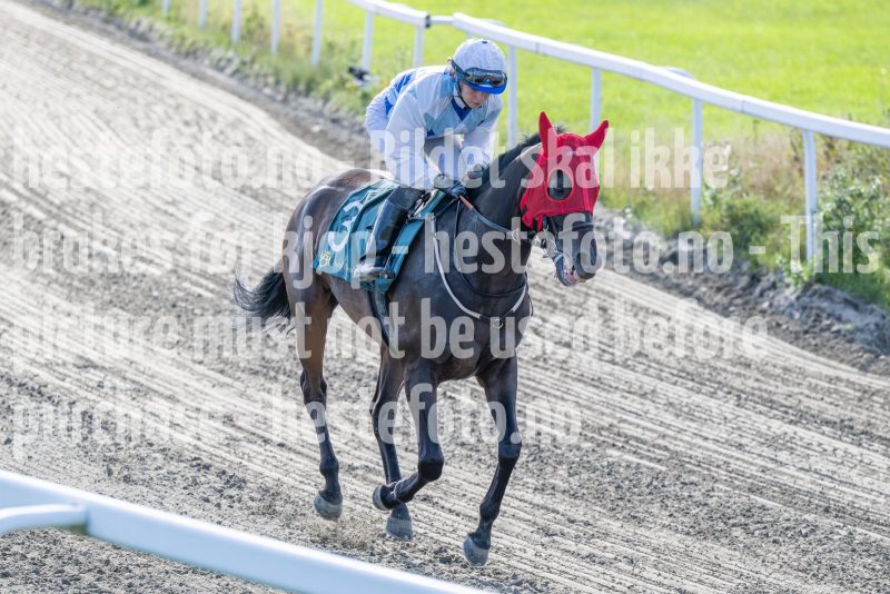 20250917-151449-DSC_5838