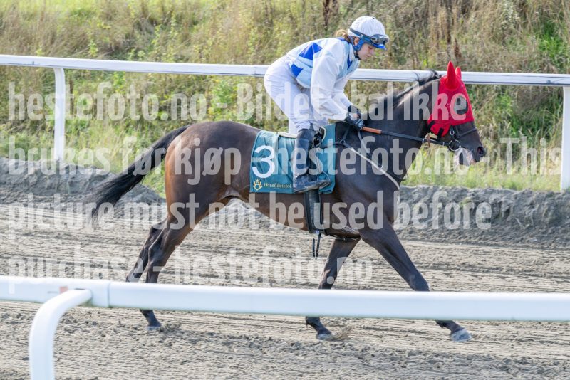 20250917-151451-DSC_5864