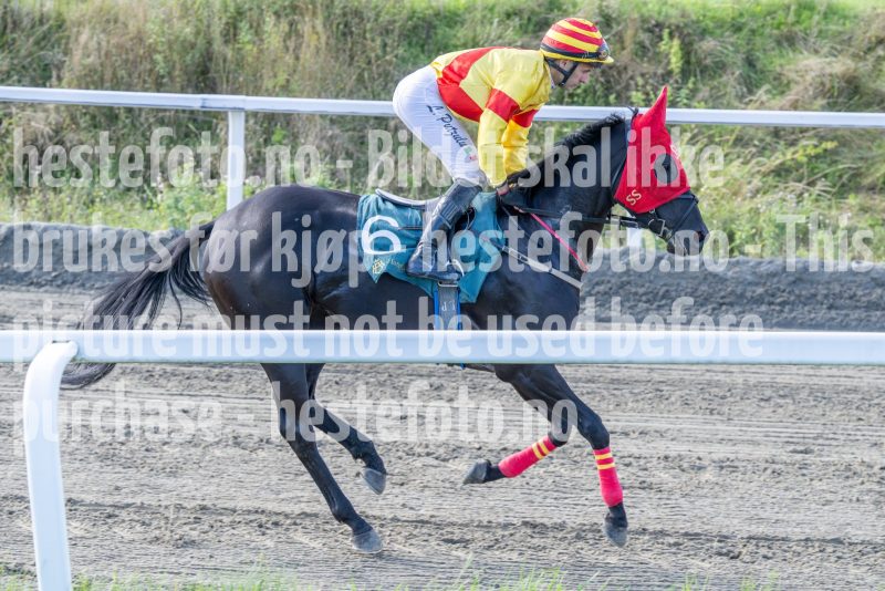 20250917-151453-DSC_5892