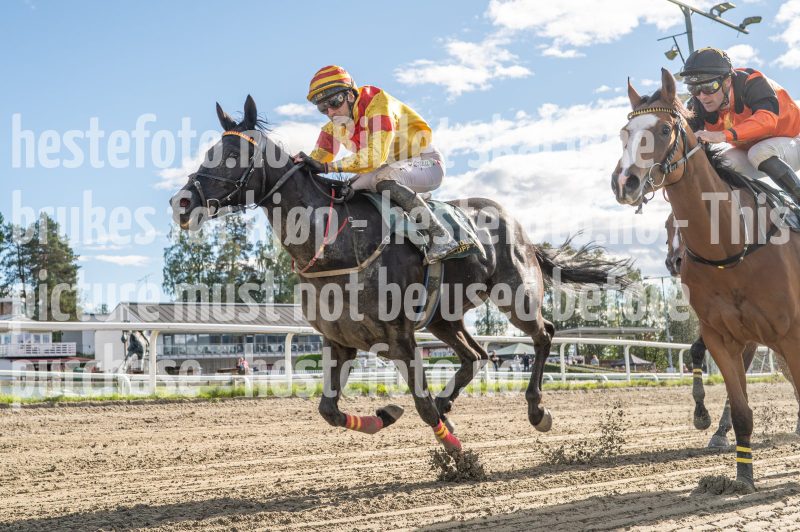 20250917-151844-DSC_7256