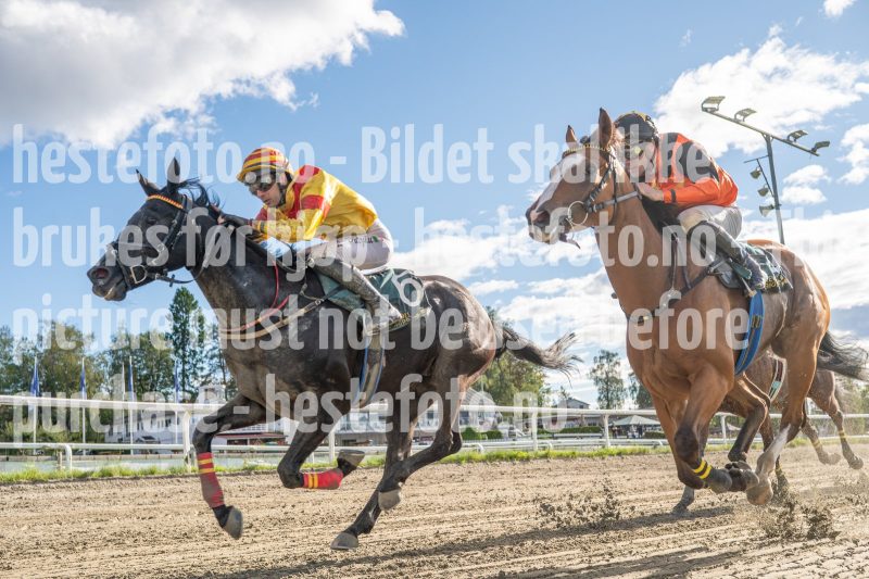 20250917-151845-DSC_7257