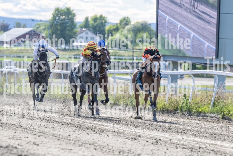 20250917-151916-DSC_5927