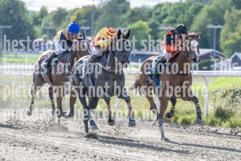 20250917-151918-DSC_5957