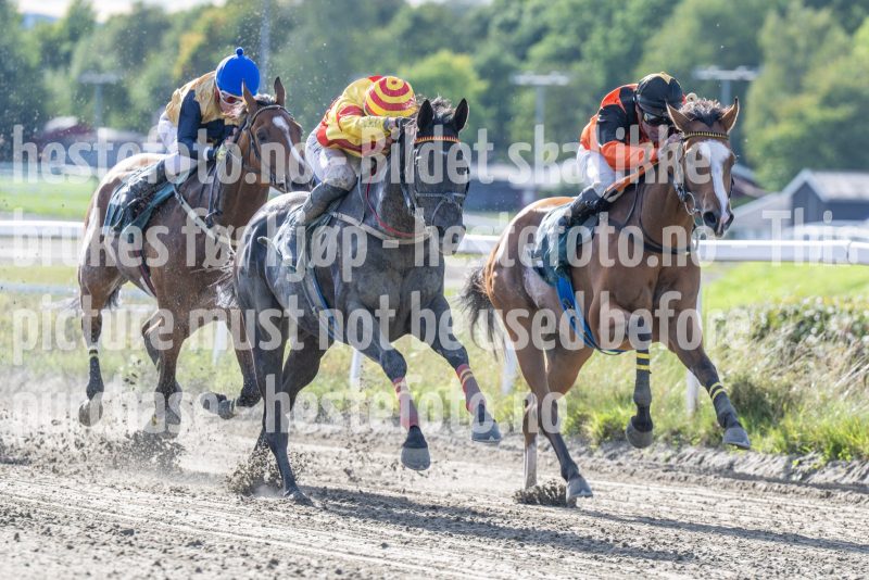 20250917-151918-DSC_5958