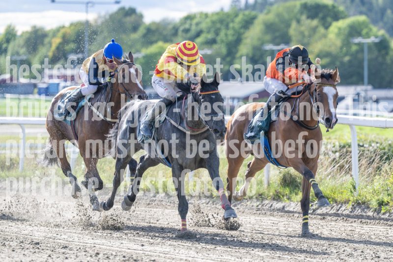 20250917-151918-DSC_5960