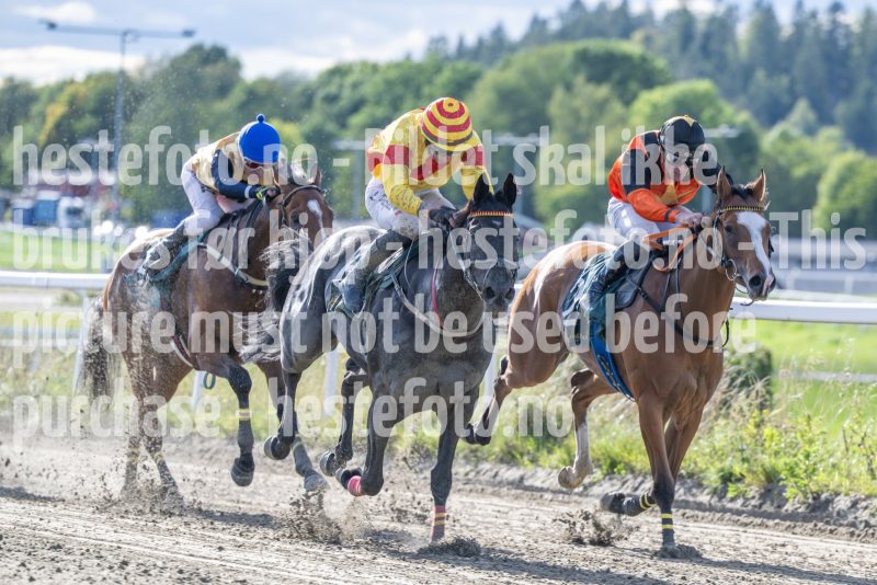 20250917-151918-DSC_5962