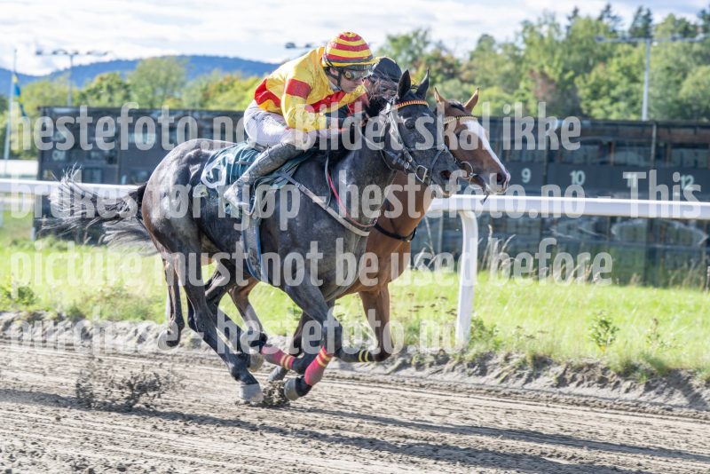 20250917-151919-DSC_5976