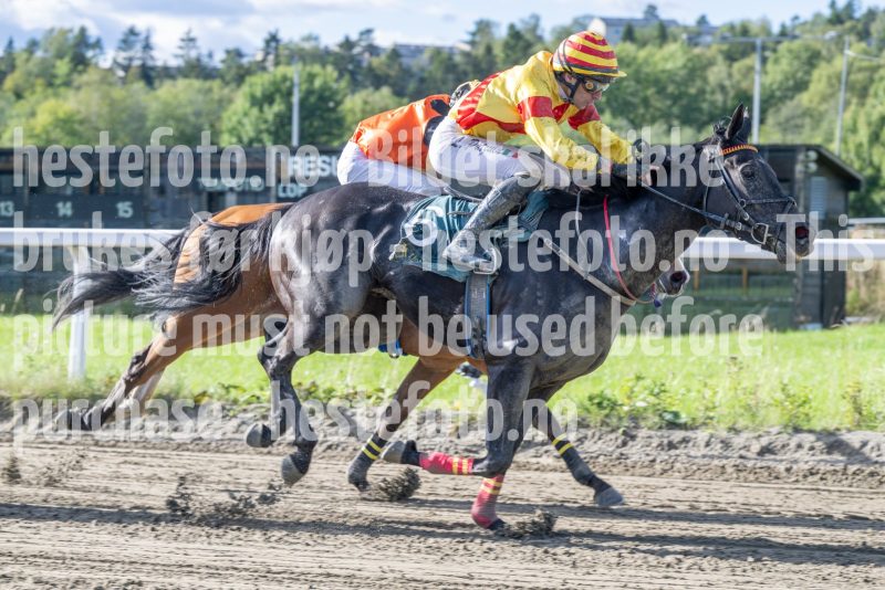 20250917-151919-DSC_5983