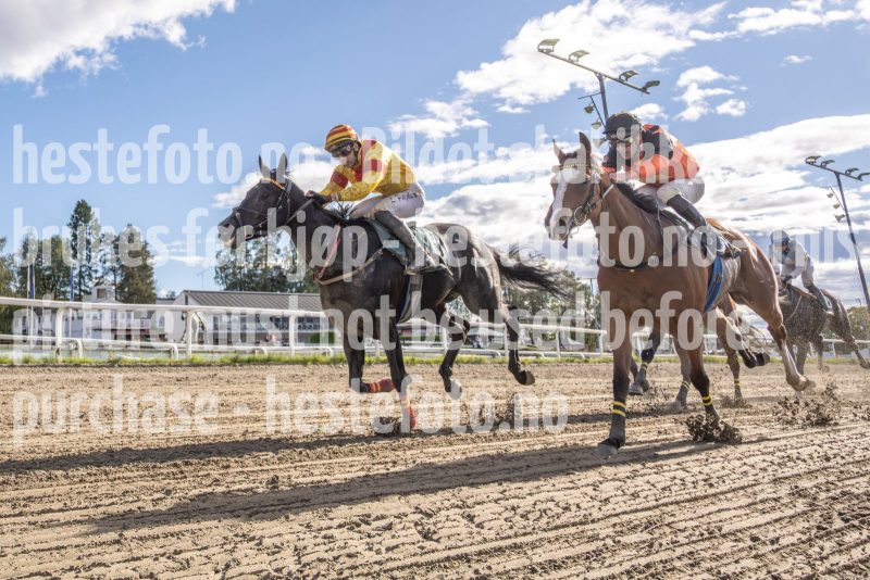 20250917-151930-DSC4575