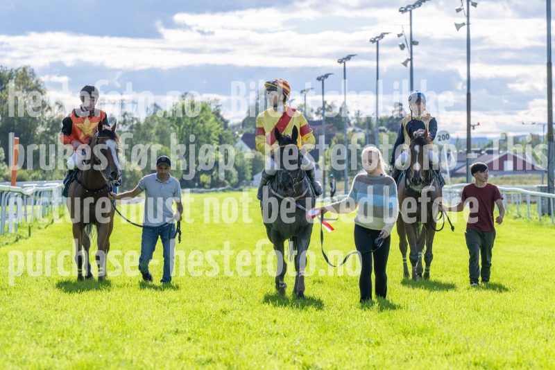 20250917-152249-DSC_6197