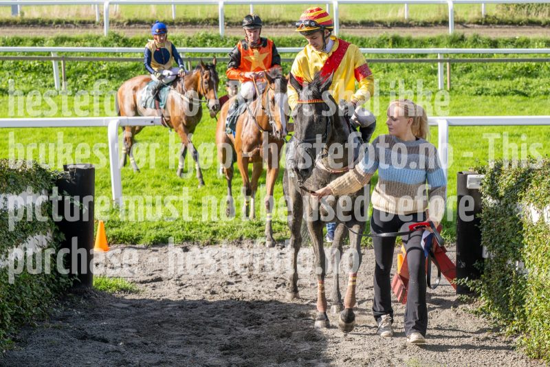 20250917-152310-DSC_6282