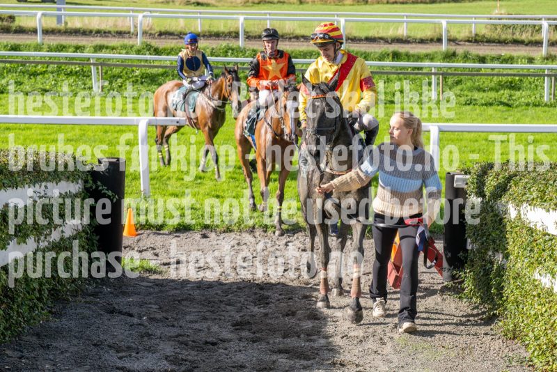 20250917-152310-DSC_6284