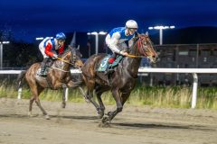 20251023-181722-DSC_5730