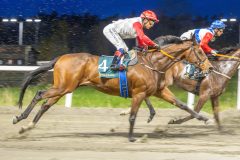 20251023-181723-DSC_5747