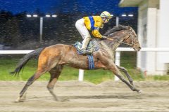 20251023-181724-DSC_5757