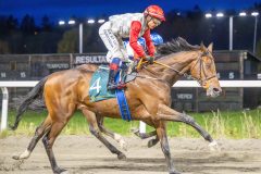 20251023-181855-DSC_5814