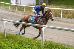 20251023-183546-DSC_5905