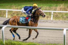 20251023-183547-DSC_5917