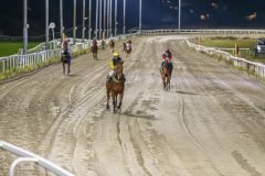 20251023-183559-DSC_5924