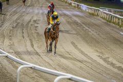 20251023-183603-DSC_5933