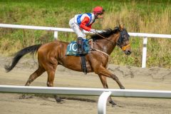 20251023-183608-DSC_5967