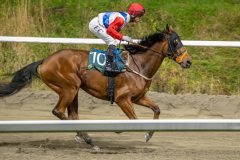 20251023-183609-DSC_5973