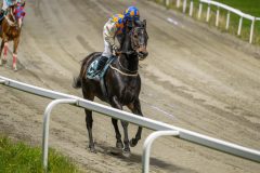 20251023-183615-DSC_5983