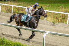 20251023-183617-DSC_5993