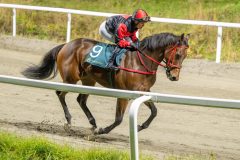 20251023-183623-DSC_6025