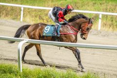 20251023-183623-DSC_6029