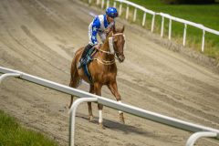 20251023-183641-DSC_6050