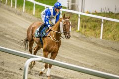 20251023-183642-DSC_6051