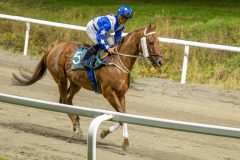 20251023-183643-DSC_6060