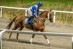 20251023-183643-DSC_6066