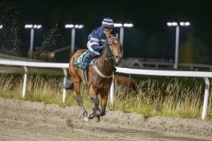 20251023-184420-DSC_6084