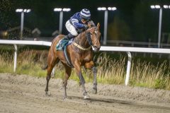 20251023-184420-DSC_6087