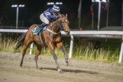 20251023-184421-DSC_6096