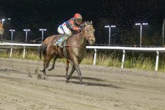 20251023-184421-DSC_6099