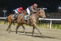 20251023-184422-DSC_6107