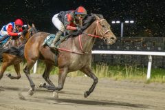 20251023-184422-DSC_6111