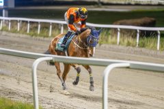 20251023-190050-DSC_6160