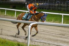 20251023-190051-DSC_6171