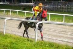 20251023-190052-DSC_6179