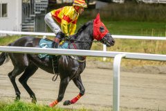 20251023-190053-DSC_6195